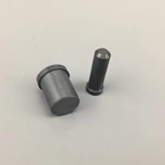 Silicon Nitride Ceramic Guide  Pin