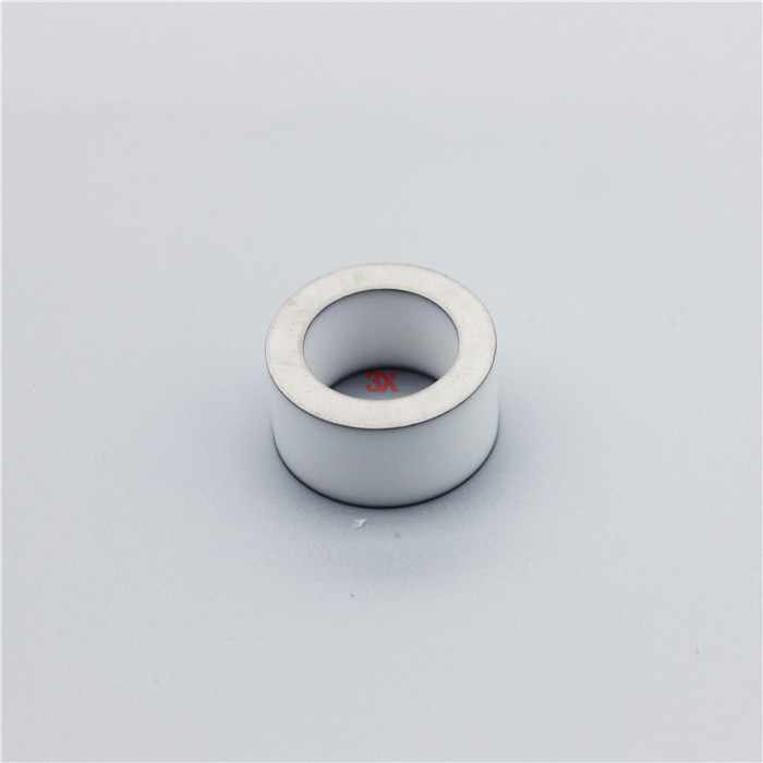 Metallized Ceramic Ring