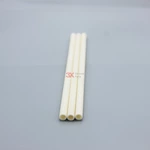 Alumina Ceramic Tube Inner Diameter 4mm 3mm 2mm